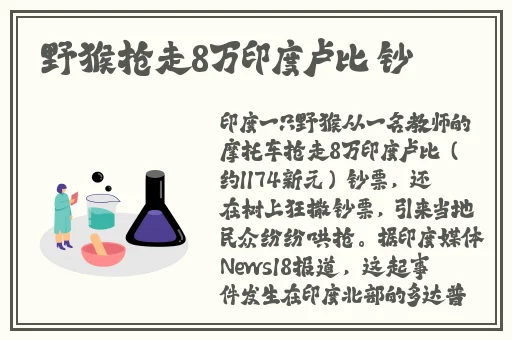 八重神子开襟